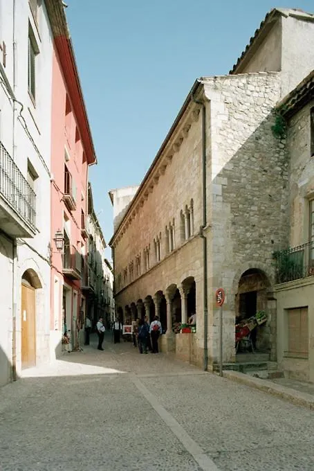 Apartamentos Saltarel-Lo Besalu Apartment